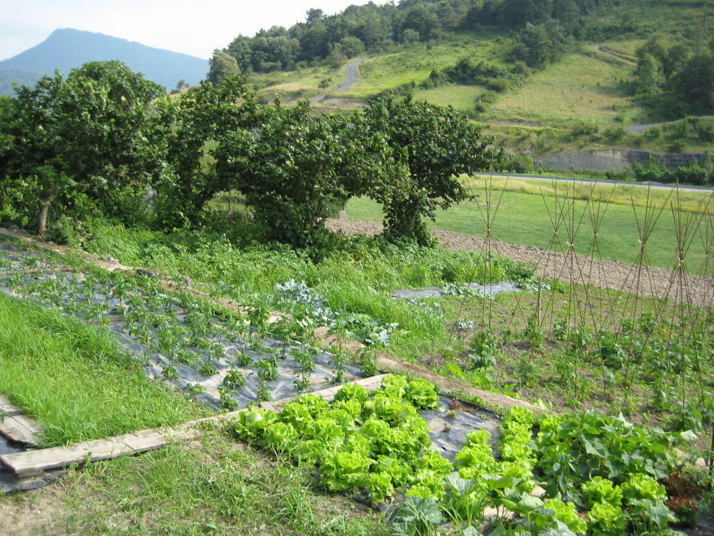 Casa Rural Garabilla Llanteno Dış mekan fotoğraf